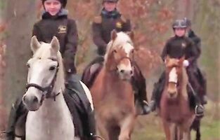 Reiten in MV, Reitwege