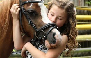 Bernsteinreiter Reiterhof Ribnitz-Damgarten Ponyclub