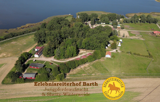 Bernsteinreiter Barth - Paradies für Pferde & Pferdemenschen