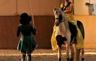 Polospiel Pferdeshow