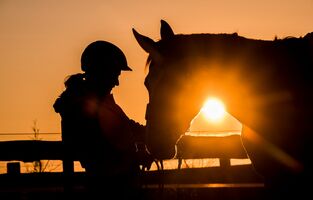 Sonnenuntergang mit Pferd