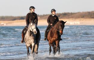 Reiten am Strand, Ostsee