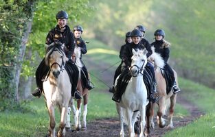 Ausritt mit Ponys