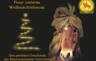 Reiterhof Gutschein Reiten Ostsee
