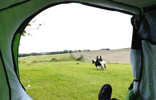 Zelten auf dem Campingplatz Bernsteinreiter an der Ostsee
