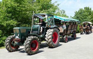 Bernsteinreiter Reiterhofsafari Ferienpark Angebote