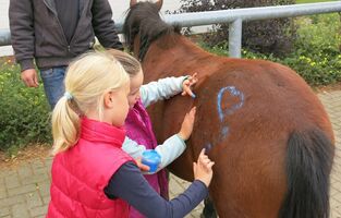 Bernsteinreiter Reiterhof Ponygeburtstag